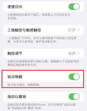 界首苹果授权维修站分享iPhone轻点无法唤醒怎么办 