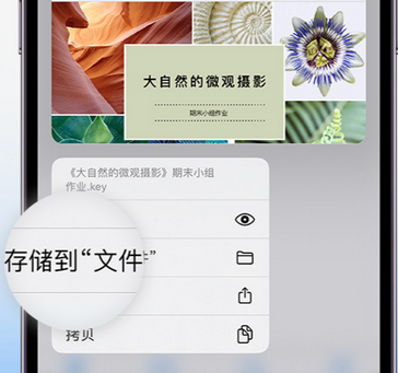 界首apple维修中心分享iPhone文件应用中存储和找到下载文件