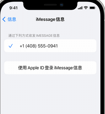 界首apple维修iPhone上无法正常发送iMessage信息 