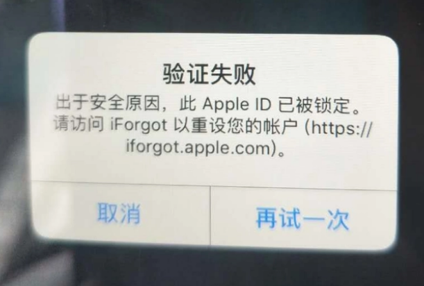 界首iPhone维修分享iPhone上正常登录或使用AppleID怎么办 