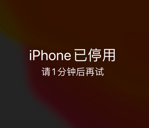 界首苹果手机维修分享:iPhone 显示“不可用”或“已停用”怎么办？还能保留数据吗？ 