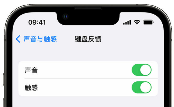 界首苹果手机维修分享iPhone 14触感键盘使用方法 