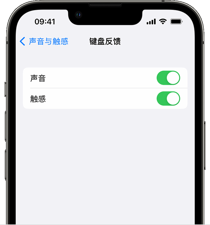 界首苹果14维修店分享如何在 iPhone 14 机型中使用触感键盘 