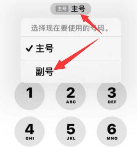 界首苹果14维修店分享iPhone 14 Pro Max使用副卡打电话的方法 