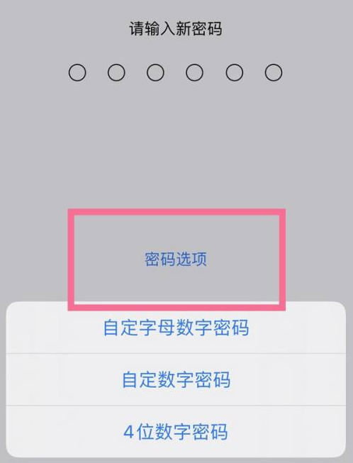 界首苹果14维修分享iPhone 14plus设置密码的方法 