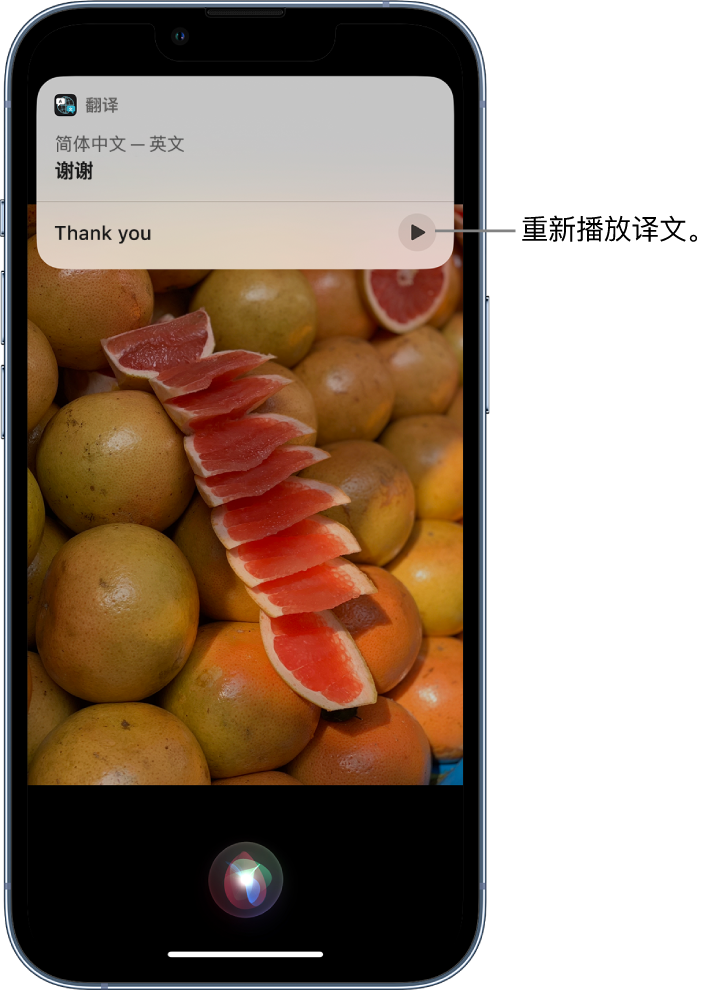 界首苹果14维修分享 iPhone 14 机型中使用 Siri：了解 Siri 能帮你做什么 