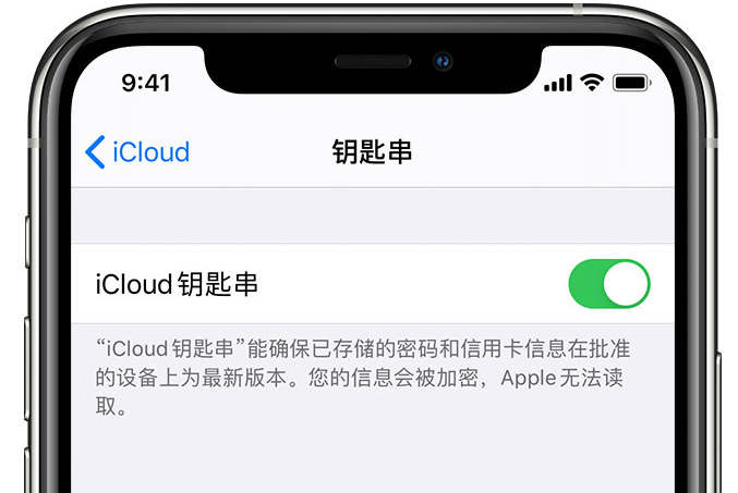 界首苹果手机维修分享在 iPhone 上开启 iCloud 钥匙串之后会储存哪些信息 