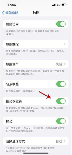 界首苹果手机维修分享iPhone手机如何设置摇一摇删除文字 