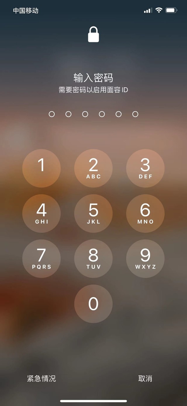 界首苹果13维修分享iPhone 13加强锁屏功能有什么用 