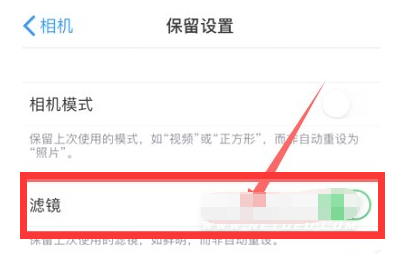 界首苹果13维修分享iPhone13拍照有绿点是怎么回事 