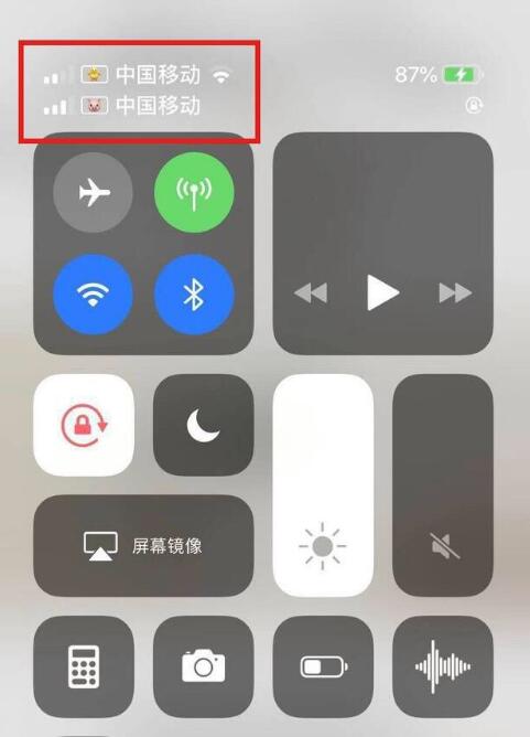 界首苹果手机维修分享为 iPhone 12 双卡设置标签 
