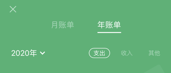 界首苹果手机维修分享如何在 iPhone 上查看支付宝和微信年支出账单 