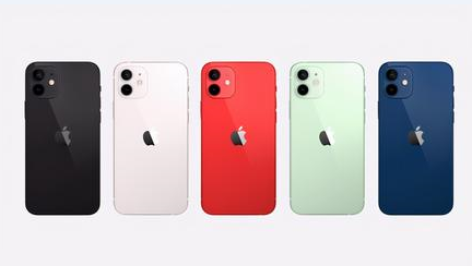 界首苹果维修点分享iPhone 12锁屏密码系统机制科普 